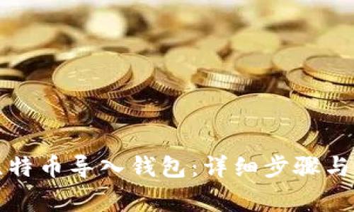 如何把比特币导入钱包:详细步骤与注意事项