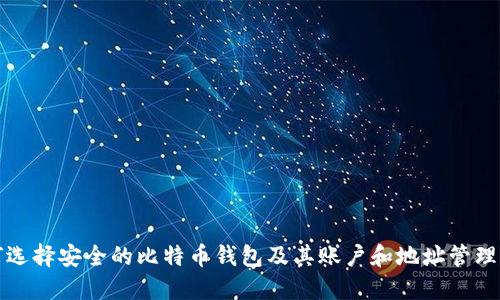 如何选择安全的比特币钱包及其账户和地址管理指南